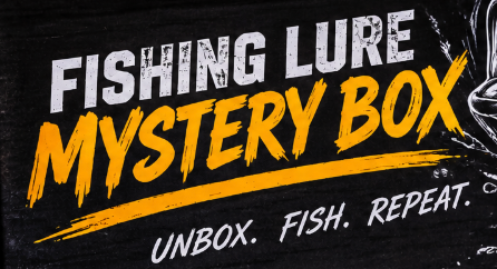 Mystery Box